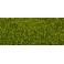 PERLA Verde