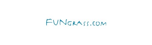 Декоративная трава Fungrass
